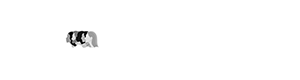 bolingo-logo-300-80